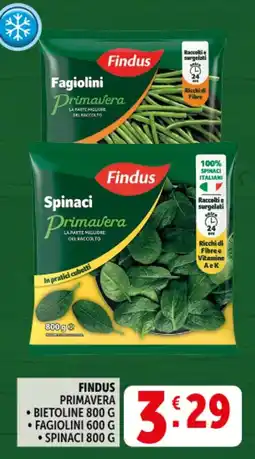 Deco Supermercati Findus primavera fagiolini spinaci offerta
