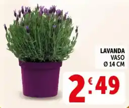 Deco Supermercati Lavanda vaso ø 14 cm offerta