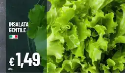 Galassia Insalata gentile offerta
