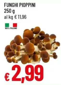 Galassia Funghi pioppini offerta