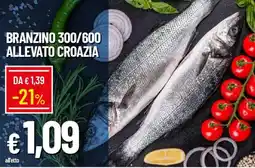 Galassia Branzino 300/600 allevato croazia offerta