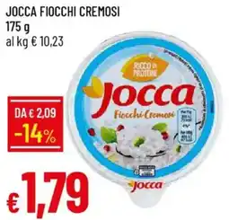 Galassia Jocca fiocchi cremosi offerta