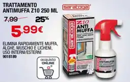 Bricofer Trattamento antimuffa Z10 offerta