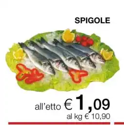 Coop Spigole offerta