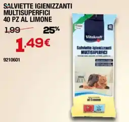 Bricofer Salviette igienizzanti multisuperfici offerta