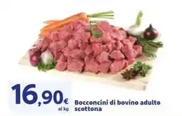 Sigma Bocconcini di bovino adulto scottona offerta