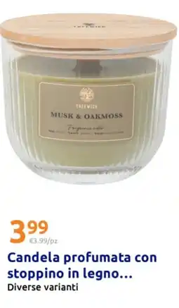 Action Candela profumata con stoppino in legno offerta