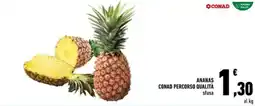 Conad Ananas conad percorso qualità sfusa offerta