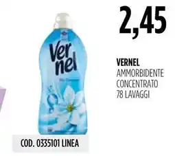 Carico Cash & Carry Vernel ammorbidente concentrato offerta