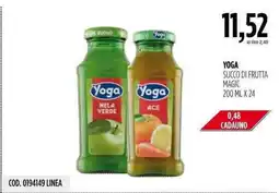 Carico Cash & Carry Yoga succo di frutta magic offerta