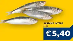 Esselunga Sardine intere offerta