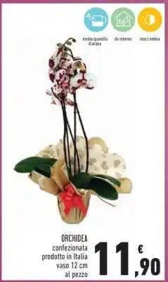 Conad Orchidea offerta