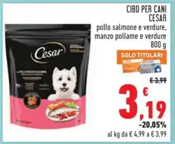 Conad CIBO PER CANI CESAR offerta