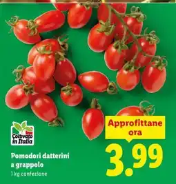 Lidl Pomodori datterini a grappolo offerta