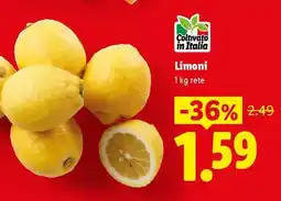 Lidl Limoni offerta