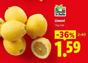 Lidl Limoni offerta