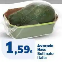 Sigma Avocado Hass Bollinato Italia offerta