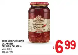 Metro Trito di peperoncino calabrese DELIZIE DI CALABRIA offerta