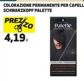 Ipercoop Palette permanente per capelli offerta