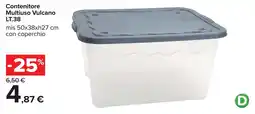 Carrefour Contenitore Multiuso Vulcano offerta