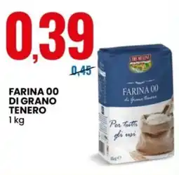 Eurospin Tre mulini farina 00 di grano tenero offerta