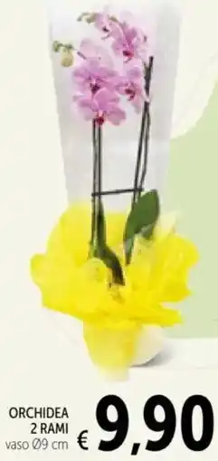 Spazio Conad Orchidea 2 rami offerta
