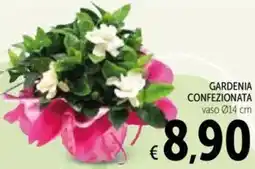 Spazio Conad Gardenia confezionata offerta