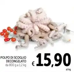 Spazio Conad Polpo di scoglio decongelato offerta