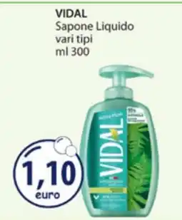 Acqua & Sapone VIDAL Sapone Liquido offerta