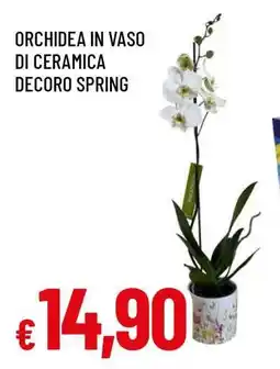Famila ORCHIDEA IN VASO DI CERAMICA DECORO SPRING offerta