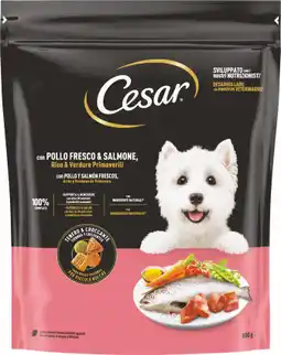 MD Discount ALIMENTO SECCO PER CANE offerta