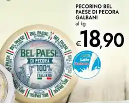 Bennet Pecorino bel paese di pecora GALBANI offerta