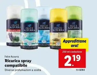 Lidl Ricarica spray compatibile 250 ml offerta