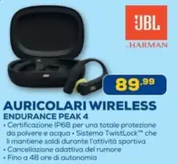 Euronics Jbl auricolari wireless endurance peak 4 offerta