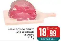 Altasfera Reale bovino adulto angus irlanda a cuore offerta