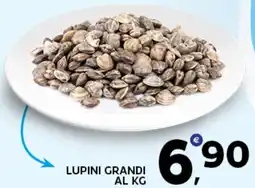 Extra Supermercati Lupini grandi offerta