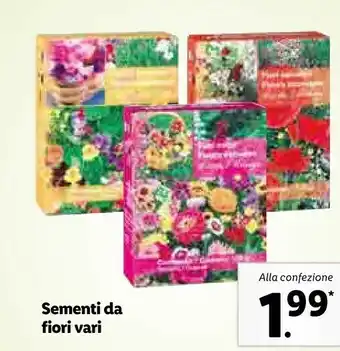 Lidl Sementi da fiori offerta