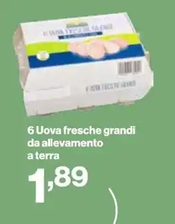 In'S Mercato 6 Uova fresche grandi da allevamento a terra offerta