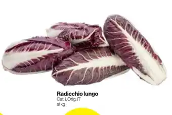 In'S Mercato Radicchio lungo offerta