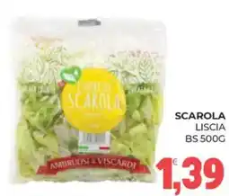 Eté Scarola liscia BS offerta