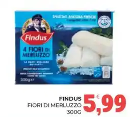 Eté Findus fiori di merluzzo offerta