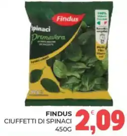 Eté Findus ciuffetti di spinaci offerta