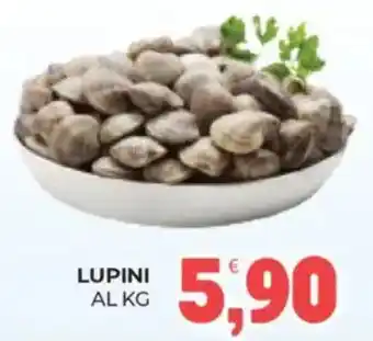 Eté Lupini offerta