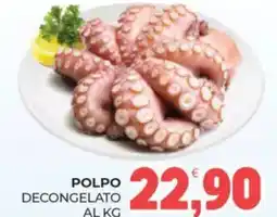 Eté Polpo decongelato offerta
