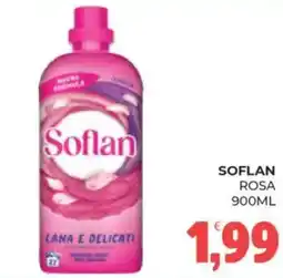 Eté Soflan rosa offerta