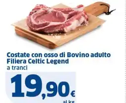 Sigma Costate con osso di Bovino adulto Filiera Celtic Legend offerta