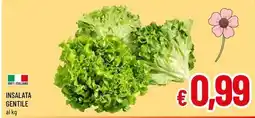 A&O Insalata gentile offerta