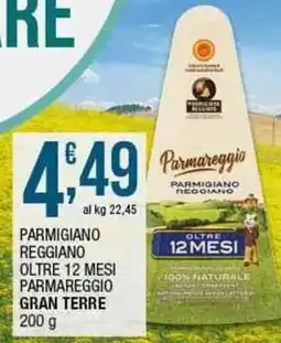 Sidis Parmigiano reggiano oltre 12 mesi parmareggio GRAN TERRE offerta