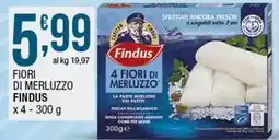 Sidis Fiori di merluzzo FINDUS offerta