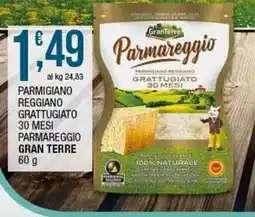 Sidis Parmigiano reggiano grattugiato 30 mesi parmareggio GRAN TERRE offerta